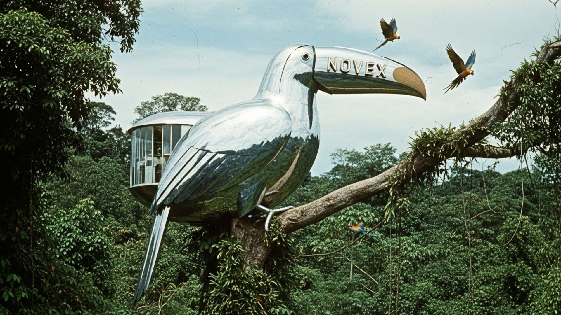 Novex Celebrates Five Years of Growth and Expansion in Costa Rica