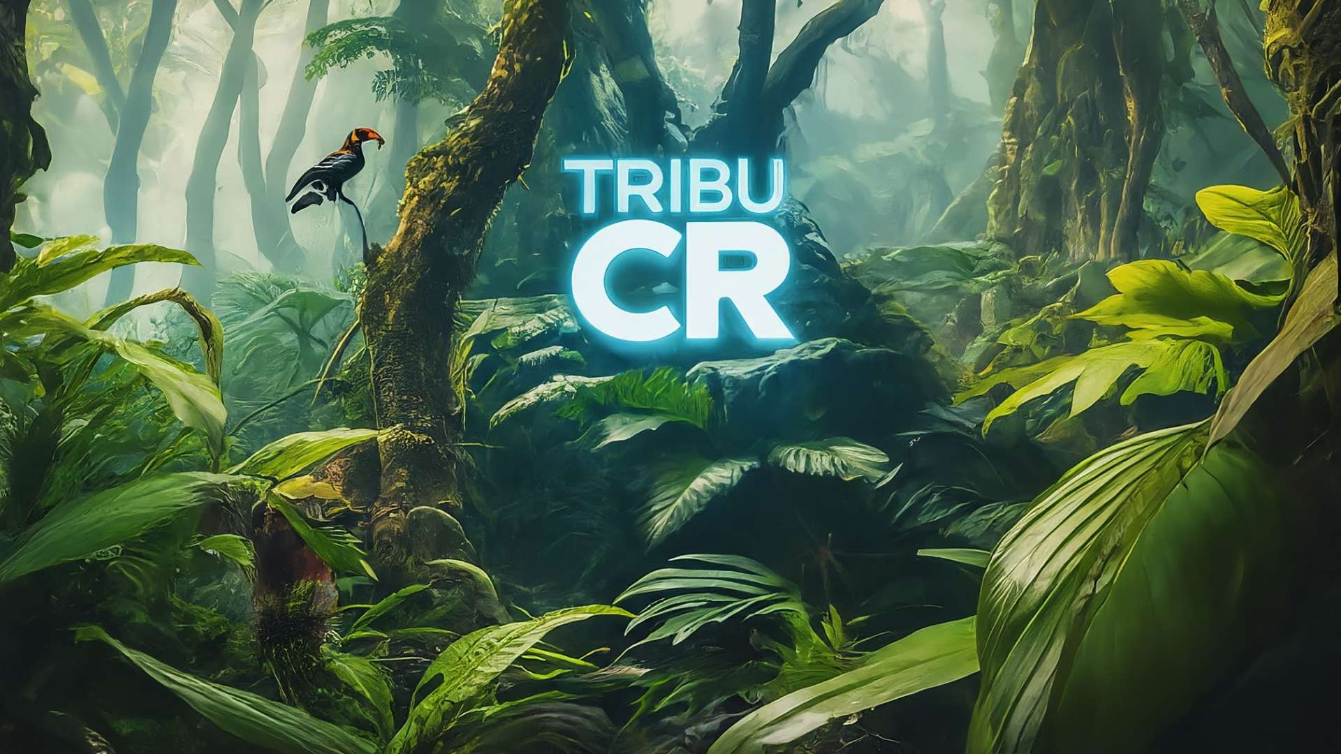 Tribu-CR Implementation Resumes After Legal Challenge Fails