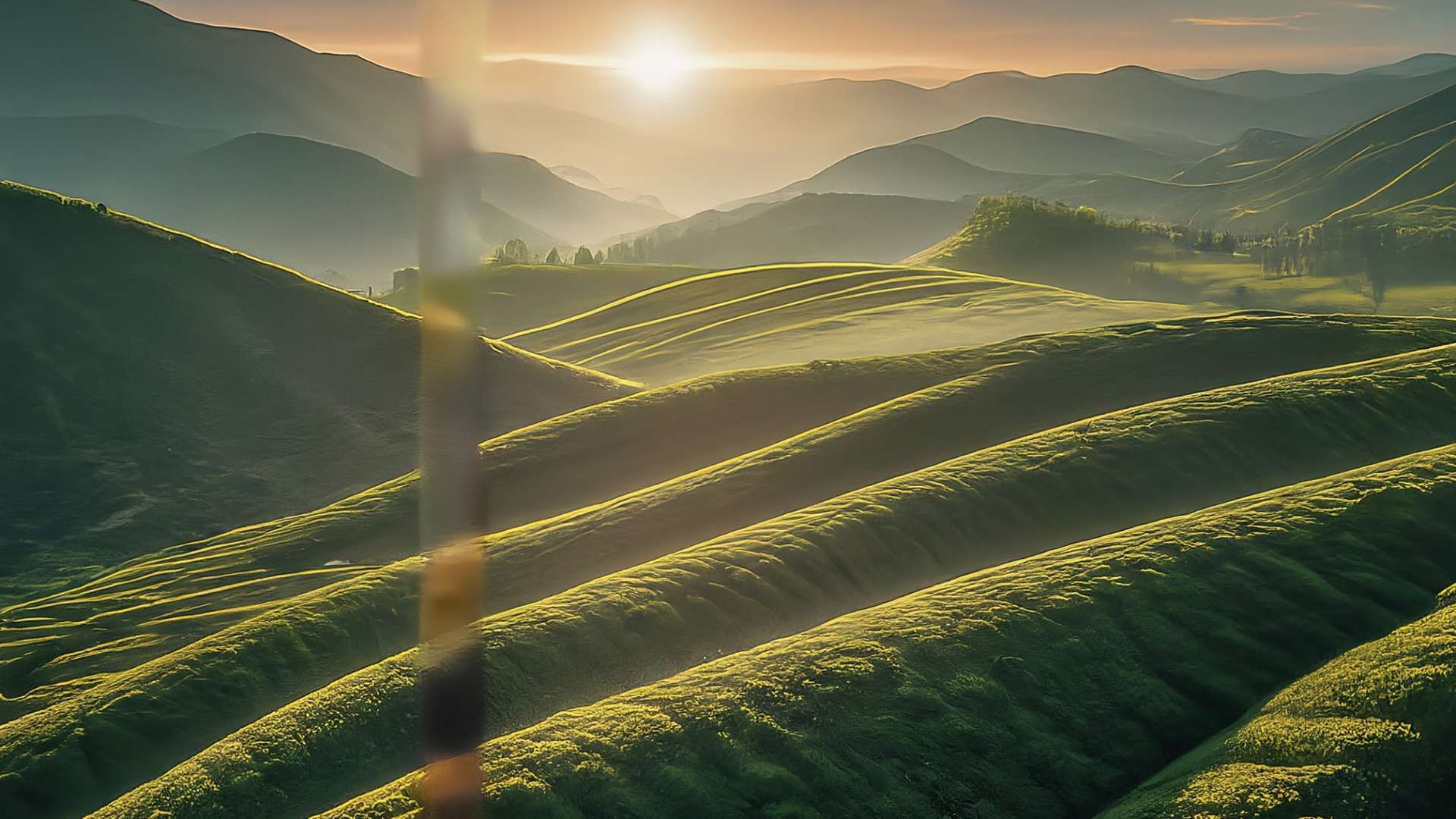 Unlocking the Secrets of Soil