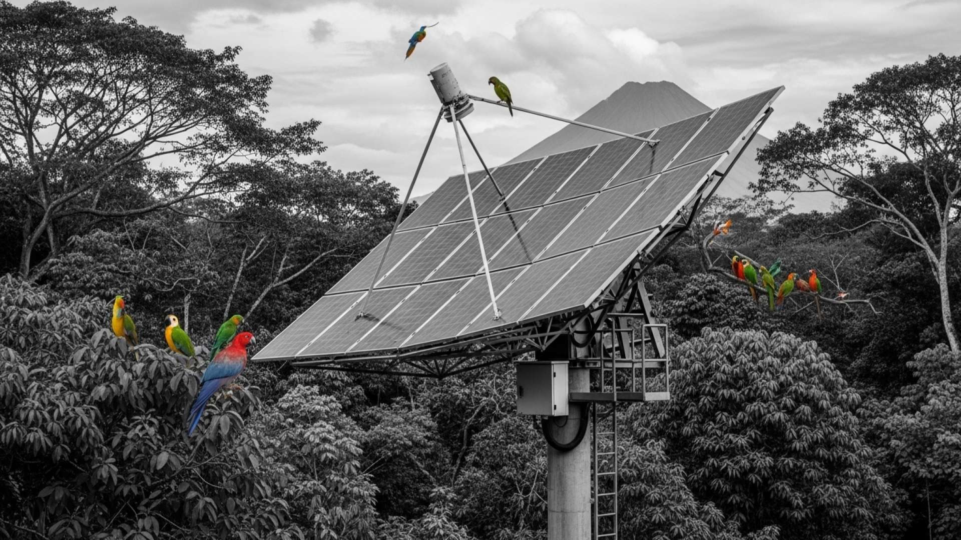 Costa Rica Boosts Emergency and Senior Care Funding in 2026 Budget