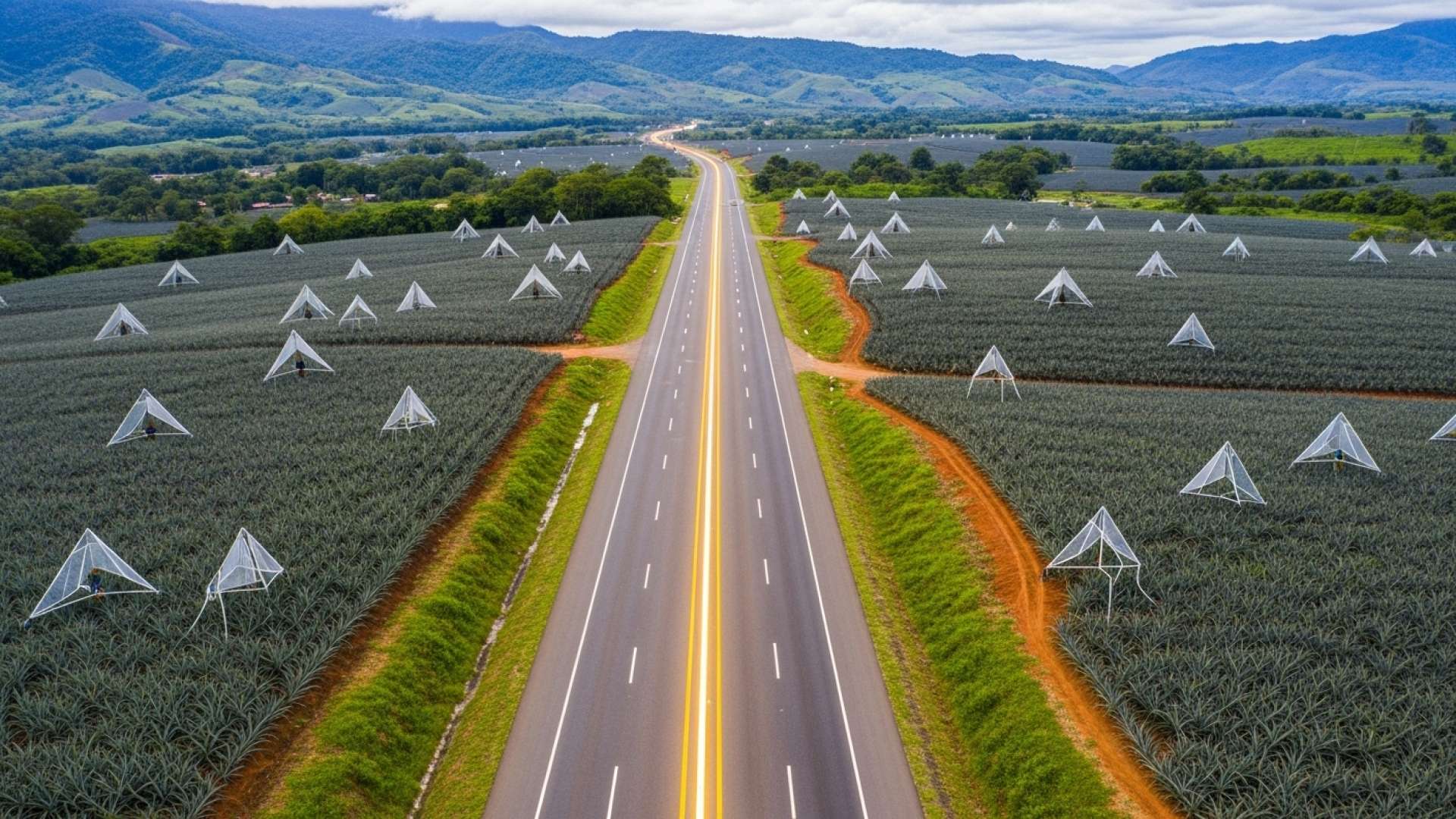 Pococí Gets ₡3 Billion Infrastructure Boost to Aid Farmers