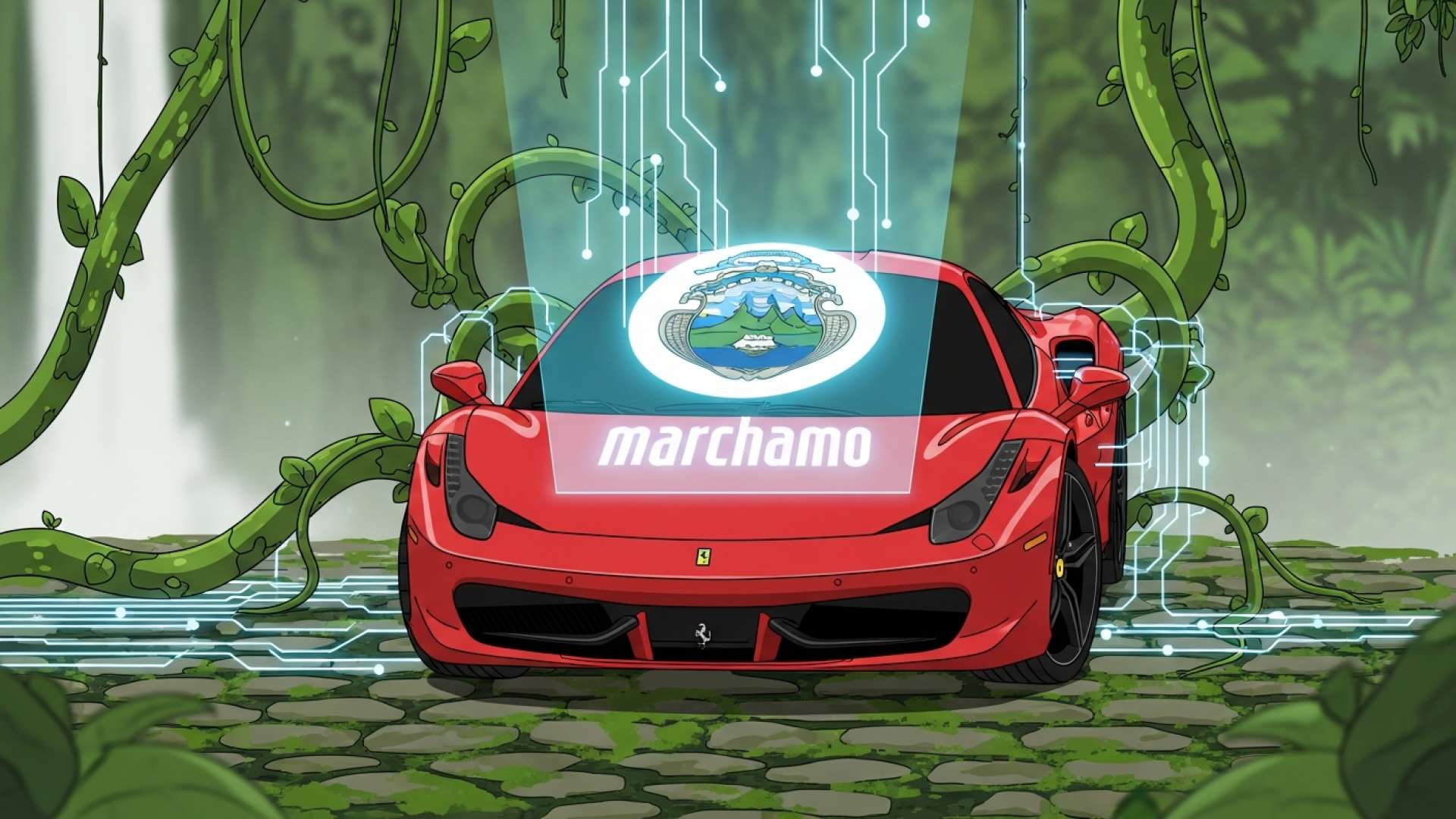 Annual Marchamo Reveals Stark Economic Divide in Costa Rica