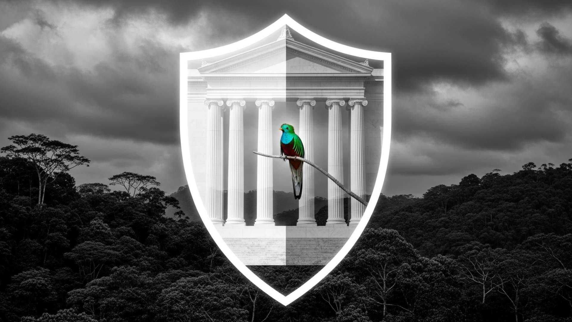 Costa Rica Asserts Sovereignty in Presidential Immunity Process