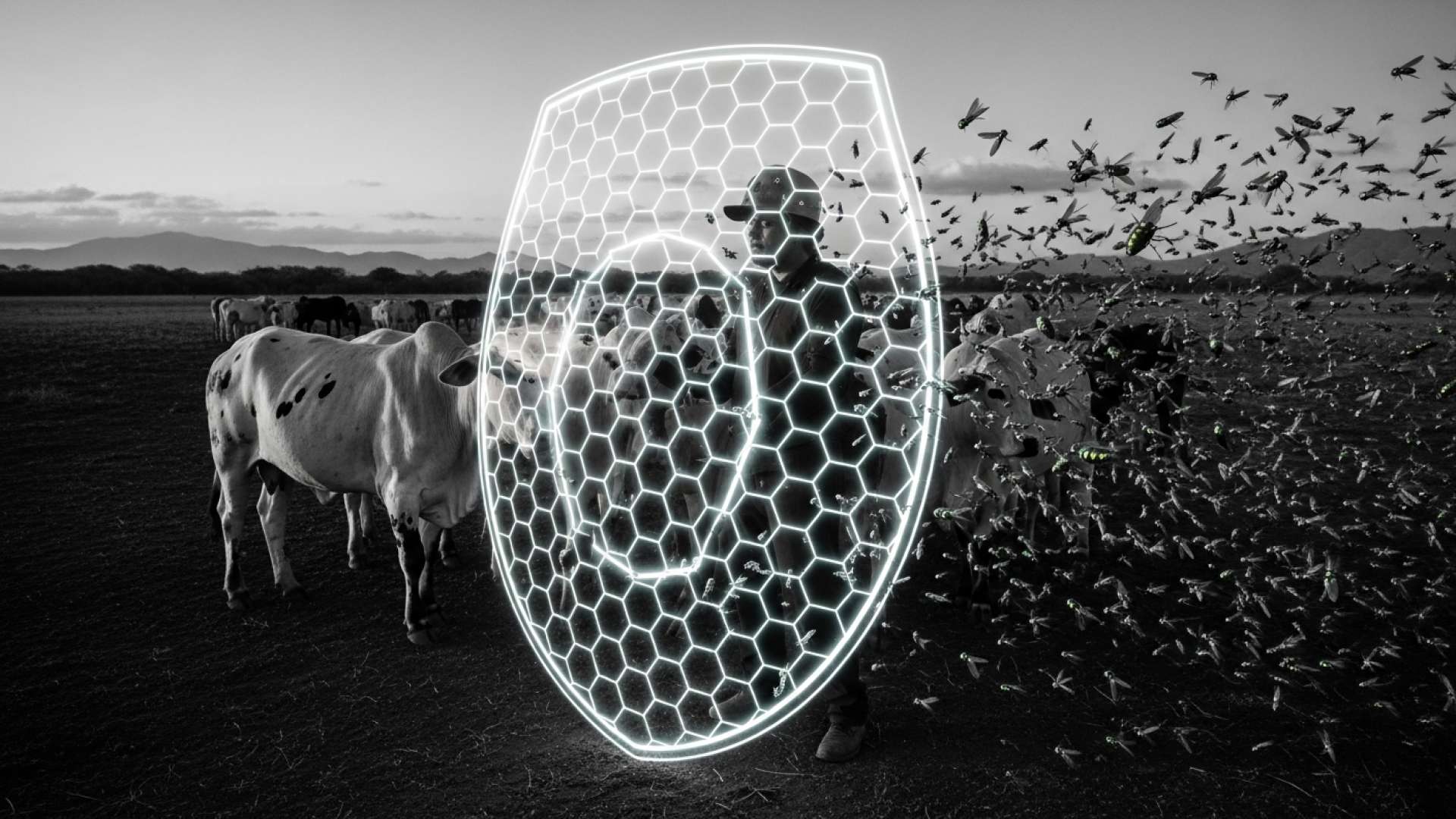 Costa Rica Grapples With Escalating Screwworm Crisis