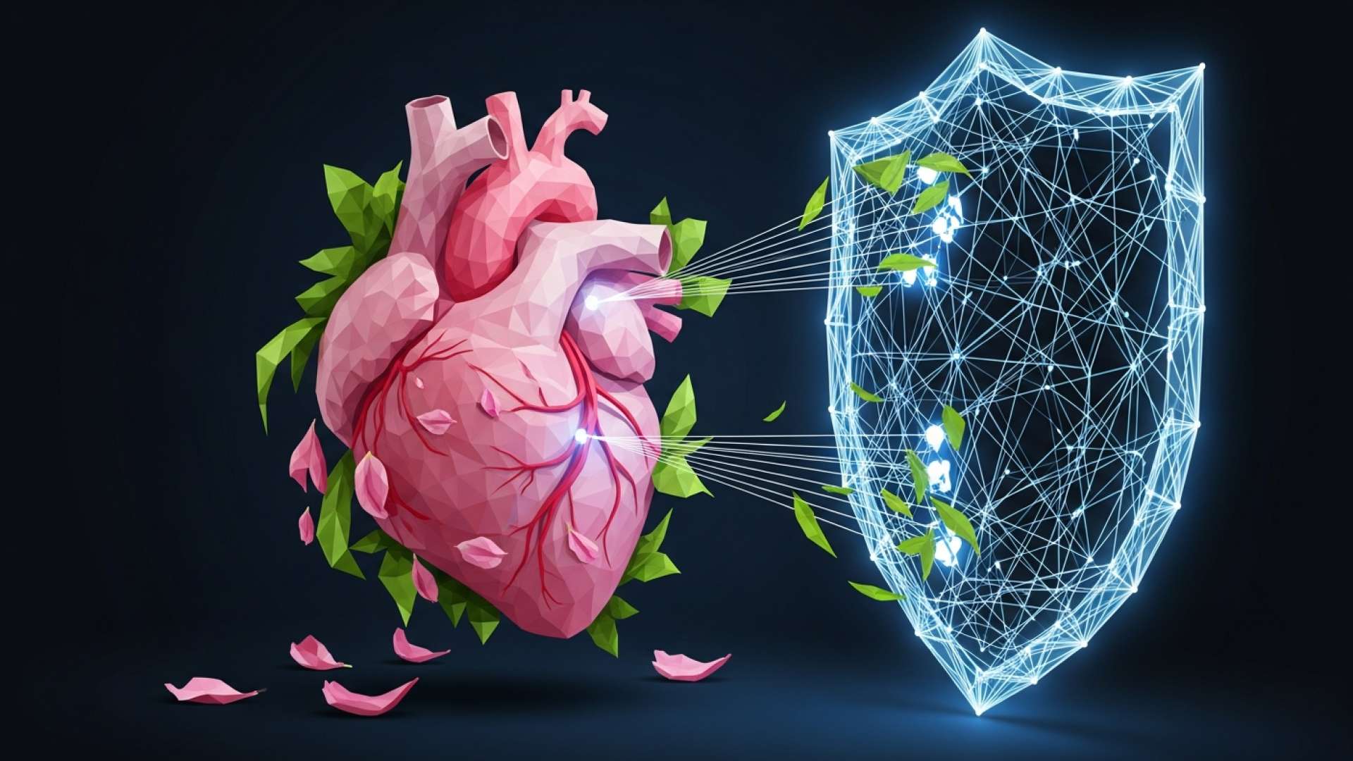 The Unseen Cardiovascular Shift During Menopause